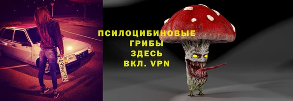 тгк Сосновка